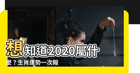 2020屬什麼